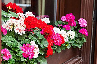 《无主之地4》采用D加密技术 PC配置需求公布